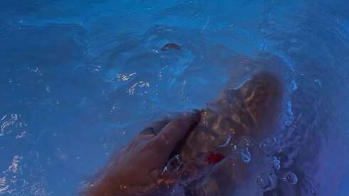 Soin bien-être Entrée SPA de 1h30 solo